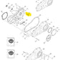 NOS Genuine Harley 2007 Up Softail Dyna Touring 5 PC Inner Primary Bolts 786A
