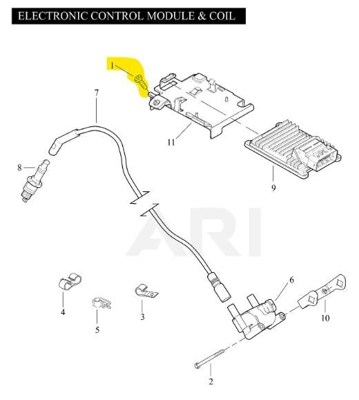 46891254.jpg?v=1690920278&