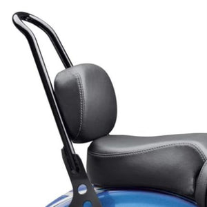 NEW Genuine Harley Passenger 2 bolt Backrest Pad XL 2007-2017 Softail 52300364