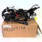 NEW Genuine Harley 2021-2023 Pan American Main Wiring Harness 69201917A