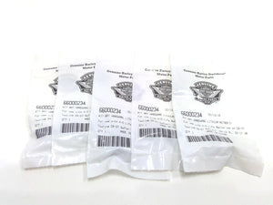 NOS Genuine Harley 5pk Battery Hardware Softail Lithium battery Kit 66000234