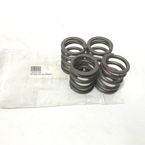 NOS Genuine Harley Outer Valve Springs set 1983-1985 Sportster 18203-83