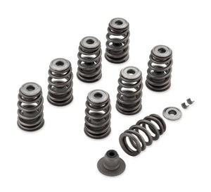 NEW Genuine Harley M8 Screamin Eagle Performance Valve Spring Kit 18100080
