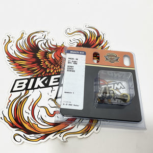 NOS Genuine Harley EVO 1340 3-piece Chrome Derby Cover Screw & seal Kit 94630-98