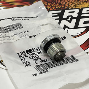 NEW Genuine Harley Livewire Transmission Drain Plug 12100131