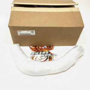 NEW Genuine Harley 2014-2022 Sportster CHROME Front Heat Shield 65400054