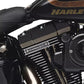 NEW Genuine Harley Screamin Eagle 110 Cylinder Head Badge Medallions 29517-07A