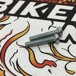 NOS Genuine Harley Shovelhead 2pc Throttle/Cruise Housing Bolts 8-32 X 7/8 1203