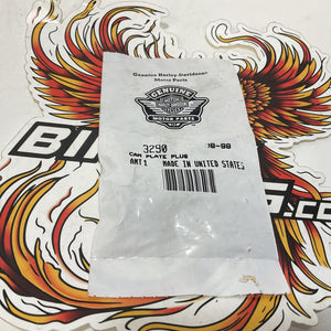NOS Genuine Harley 1999-2006 Twin Cam support Plate Plug 3290
