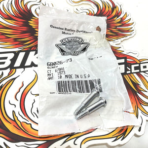 NOS Genuine Harley Shovelhead 2pc Tail Light Lens Screws 68026-73