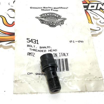 NOS Genuine Harley 2006 V-Rod Threaded Head Banjo Bolt 5431