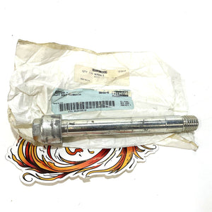 NOS Genuine Buell 2000-2001 Blast 500 Swingarm Pivot Bolt K0200.T