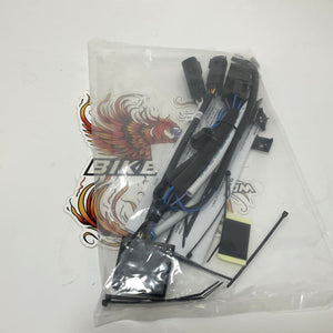 NEW Genuine Harley  Spectra Glo Illuminated Fairing Trim Wiring Harness 69201547