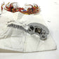 NOS Genuine Harley 2008-2023 CVO Touring Clutch Brake Chrome Half Clamp 42119-08