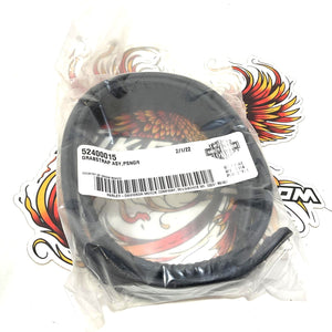 NOS Genuine Harley 2017 Up Touring Passenger Grab Strap  52400015