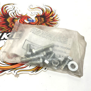 NOS Genuine Harley 1997-2008 Touring REAR DOCKING MOUNT FASTENER KIT 53131-98