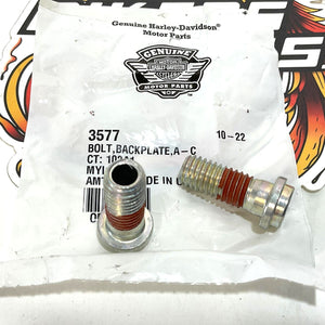NOS Genuine Harley 1992-1999 EVO Air Filter Back Plate Bolts 3577