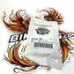 NOS Genuine Harley 2002 Up V-Rod Battery Adapters 66056-00
