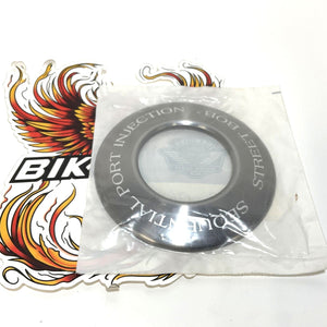 NOS Genuine Harley 2006 Street Bob Air Cleaner Insert 29343-06