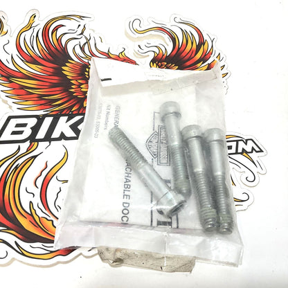 NOS Genuine Harley FLSTN Saddlebag Hardware Bolt Kit 3/8-16 x 2.25"  53075-03