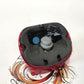 Genuine Harley 2003Up No Tag window Tail Brake Light Assembly 68368-03