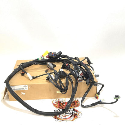 NEW Genuine Harley 2018 XG500 XG750 Street ABS Wire Harness 69201242