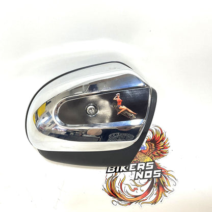 Genuine Harley Milwaukee 8 107 Airbox Back Plate/Cover/Filter 29000216 29000120