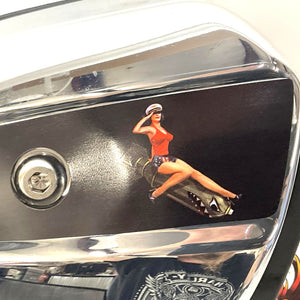 Genuine Harley Milwaukee 8 107 Airbox Back Plate/Cover/Filter 29000216 29000120