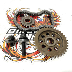 Genuine Harley Milwaukee 8 Cam Sprocket Chain & Fasteners Kit 25400257