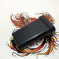 NEW Genuine Harley-Davidson 2002-2006 Touring Security Module TSSM 68922-00A