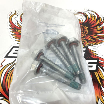 New Genuine Harley 2007-2025 Softail Dyna Touring 5 PC Inner Primary Bolts 786A