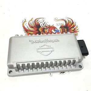 Genuine Harley Rockford Fosgate 2023 up  4 Channel 200 Watt Amplifier 76001131