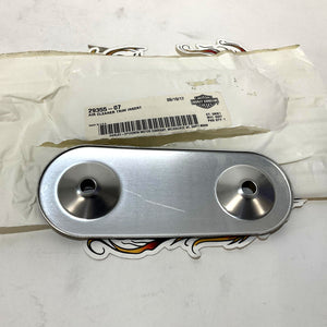 NEW Genuine Harley 2007-2015 XL Sportster 1200 Black Air Cleaner Insert 29355-07