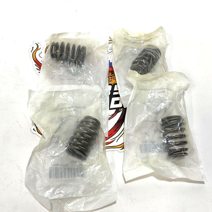 NEW Genuine Harley 2018 up M8 Set Of 4 Stock Valve Springs 18100043