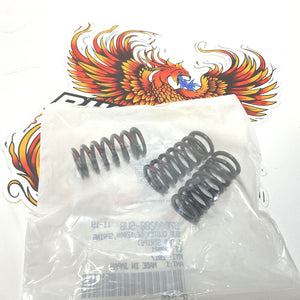 NOS Genuine Harley M8 Screamin Eagle Clutch Springs Red Stripe 37000288