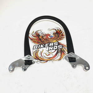 Genuine Harley Passenger Grab Strap 2017 up Touring 52400017 52400016 52400021