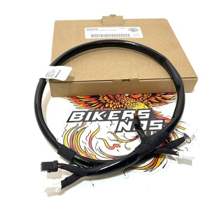NOS Genuine Harley 2021Up Pan American Right Hand Controls Wire Harness 69202092