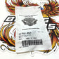 NOS Genuine Harley 2006 Up Touring V-Rod BANJO BOLT BLEEDER ASSEMBLY  41752-06