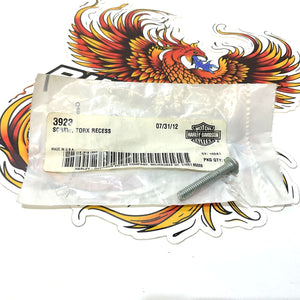 Genuine Harley 2001-2003 Sportster Custom Sportster Riser Cover Screw 3923