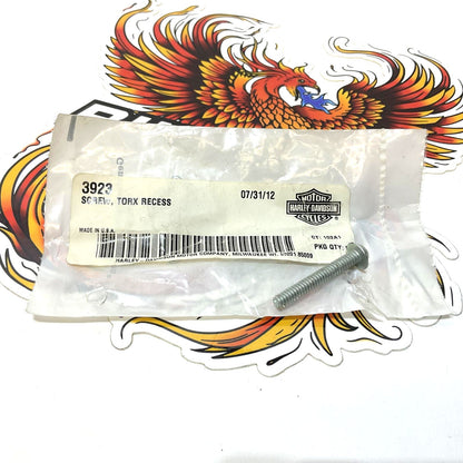 Genuine Harley 2001-2003 Sportster Custom Sportster Riser Cover Screw 3923