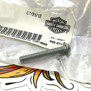 Genuine Harley 2001-2003 Sportster Custom Sportster Riser Cover Screw 3923