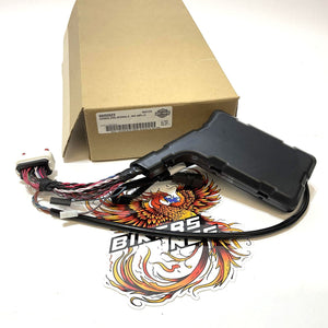 NOS Genuine Harley 2021-2022 CVO Saddlebag Amplifier Wire Harness 69202623