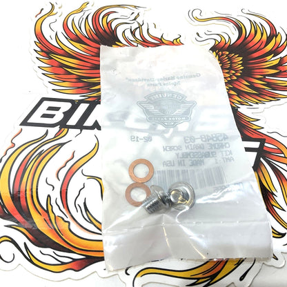 NOS Genuine Harley 1987-2017 Chrome 41mm FORK Slider Drain Screw Plugs 45848-03