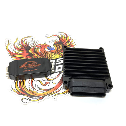 Genuine Harley 2001-2013 Screamin Eagle ECM 32498-05