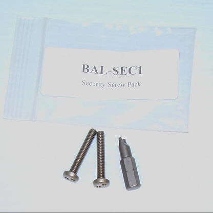 Bright Ass Lights (2) Stainless Steel Security Screws & Bit Tail Light BAL-SEC1