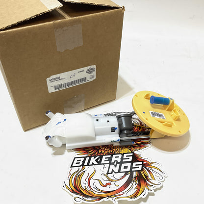 NOS Genuine Harley 2021 Up RH RA Fuel Pump Module  61200062