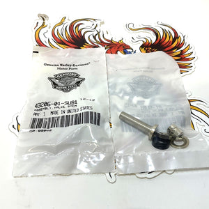 NOS Genuine Harley 2002-2012 CVO 2pc STEM ASSEMBLY TIRE VALVE 43206-01