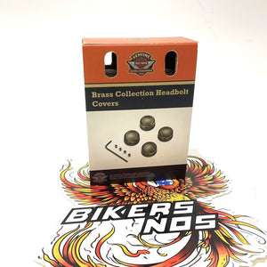 New Genuine Harley Brass Head Bolt Covers XL Evolution & Twin Cam 61400335