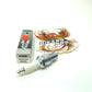 NGK Spark Plugs 1994-1998 Polaris Standard Spark Plug 2pk 5534