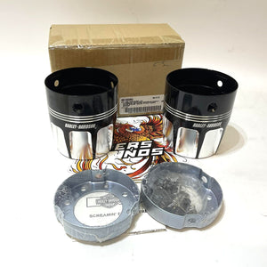 NOS Genuine Harley 2009-2016 Touring Burst Collection 4" End Caps 65100054